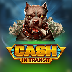 Cash in Transit